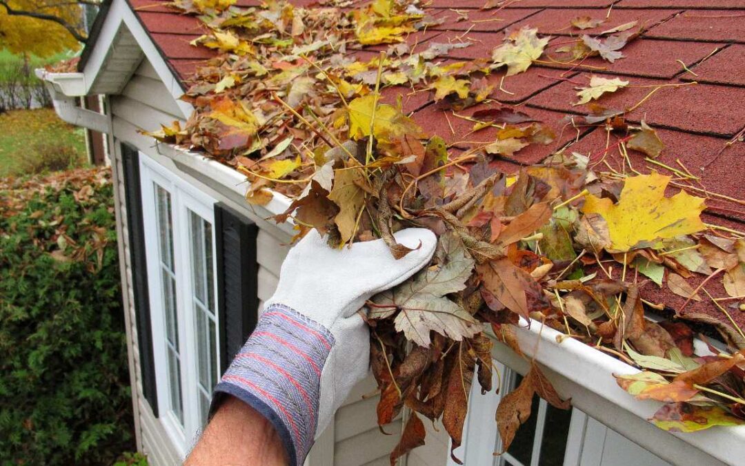 6 common problems caused by clogged gutters